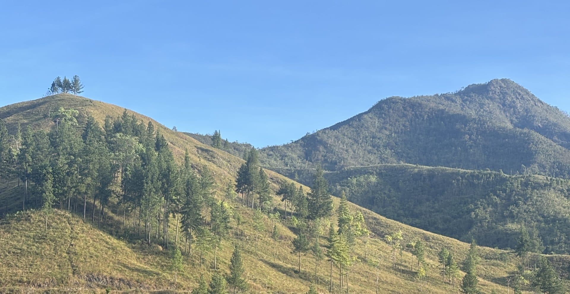 Mountain landscape